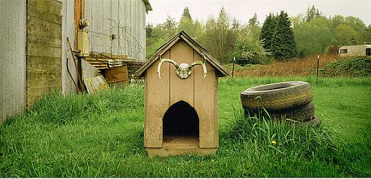 《匹诺曹的谎言》最新演示预告！游戏系统全揭秘！